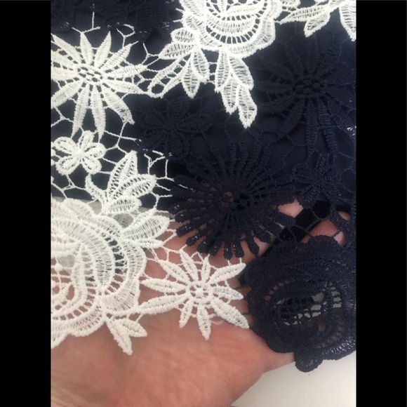 Banana Republic Lace Skirt - Picture 7 of 8